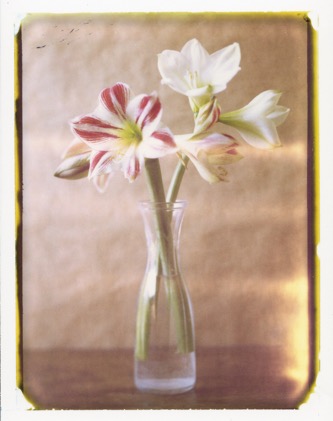 2020-01-01-one_instant_flowers_3000px